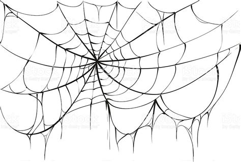 Torn spider web on white background. Vector illustration | Spider web ...