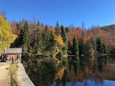 THE 10 BEST Things to Do in Bavarian Forest - 2022 (with Photos ...