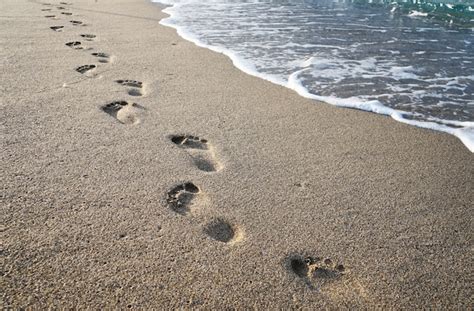 Footprints Sand Images | Free Vectors, Stock Photos & PSD