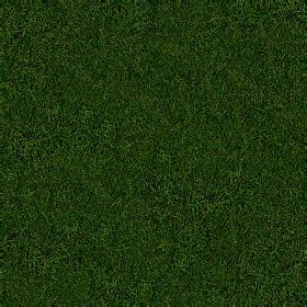 Green grass texture seamless 13025