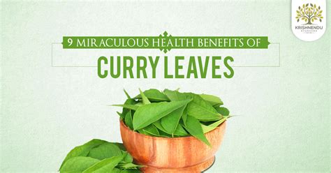 Health Benefits of Curry Leaves | Ayurveda Benefits Curry Leaves