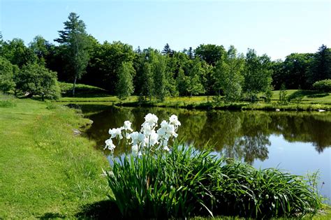 The Benedictine Monks of Weston Priory, Vermont