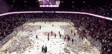 Ice Hockey Teddy Bear Toss GIF - Ice Hockey Teddy Bear Toss Hockey ...