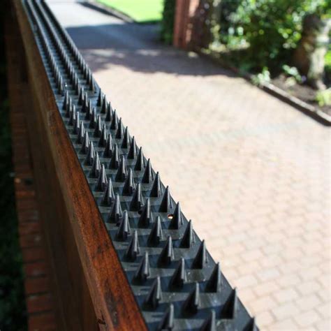 Fence And Wall Spikes Cat Repellent Security Spikes By PestBye ...