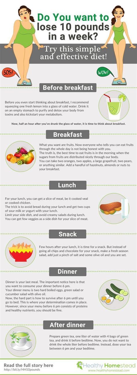 The Basics of the Belly Fat Diet Plan - dummies - Diet and exercise ...