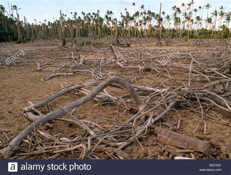 Cyclone Damage Stock Photos & Cyclone Damage Stock Images - Alamy