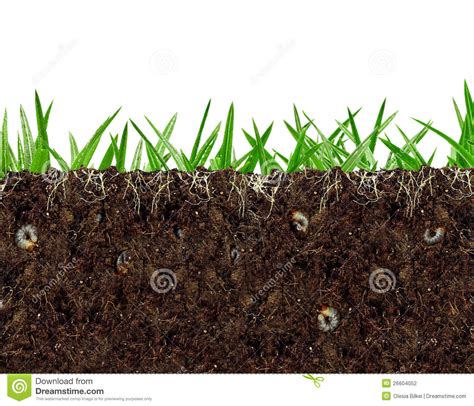 Dirt clipart 20 free Cliparts | Download images on Clipground 2024