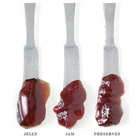 The Difference Between Jam, Jelly, and Marmalade | Jam vs jelly, Jam ...