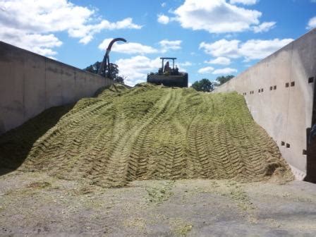 How Can a Farmer Preserve High-Quality Silage? | North Carolina ...