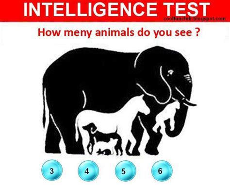 CoolFunClub: Intelligence Test