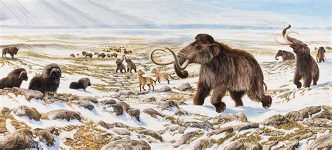 10 Ice Age Animals Facts - Facts.net