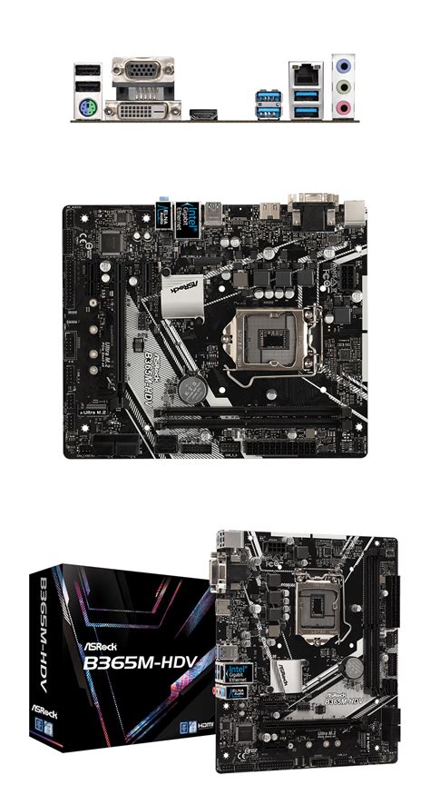 Buy ASRock B365M-HDV Motherboard [B365M-HDV] | PC Case Gear Australia