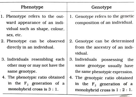 Phenotype Vs Genotype