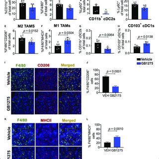 | CD11b modulation changes macrophage gene expression to enhance ...