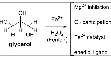 New Insights of the Fenton Reaction Using Glycerol as the Experimental ...