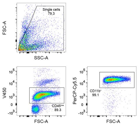 Expression of CD45 and CD11b by microglia. Each dot represents a ...