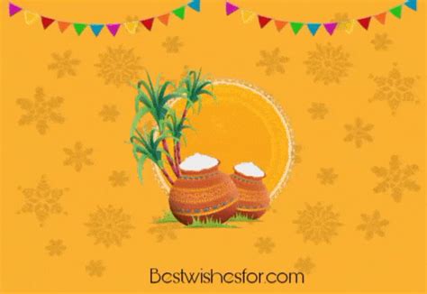 Happy Pongal 2023 Gif Animated Images Wishes | Best Wishes