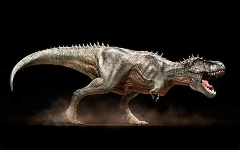 A T. Rex skeleton will be exposed at a DC museum in 2019