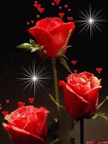 Rose Flower GIF - Rose Flower Heart - Discover & Share GIFs