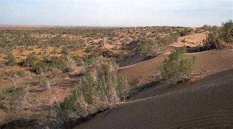 Karakum Desert | Map & Facts | Britannica