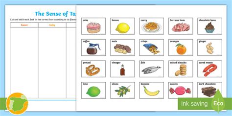 The Sense of Taste Cut and Stick Worksheet (teacher made)