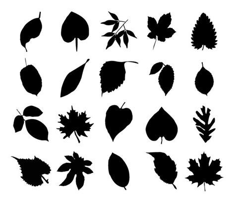 Pile Of Leaves Drawing at GetDrawings | Free download