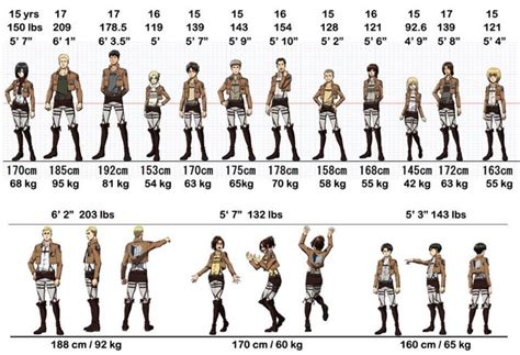 Height and weight for all attack on Titan character | Fandom