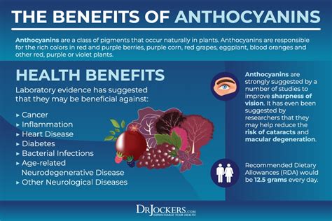 Prevent Cancer and Heal with Anthocyanins - DrJockers.com