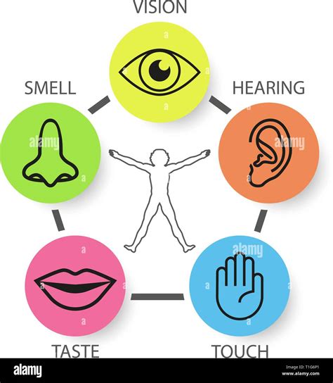 Icon set of five human senses: vision, smell, hearing, touch, taste ...