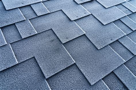 7 Types of Roof Shingles You Should Know About