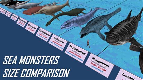 Megalodon Vs Whale Shark Size? Top Answer Update - Barkmanoil.com