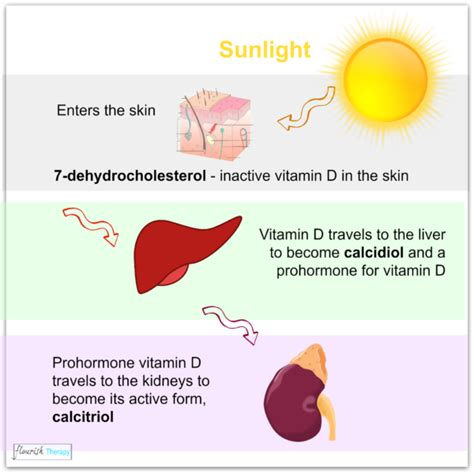 Why we need UV light, vitamin D deficiency, sources of vitamin D