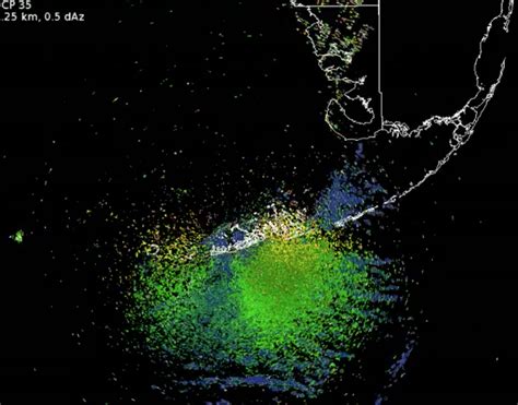 VIDEO: Thousands of Migrating Birds Seen on Radar, Our First Sign of ...