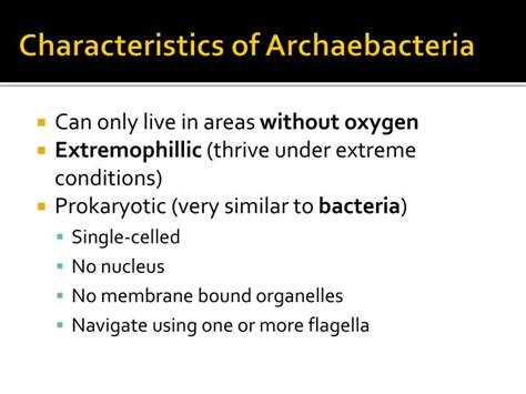 Archaea Characteristics