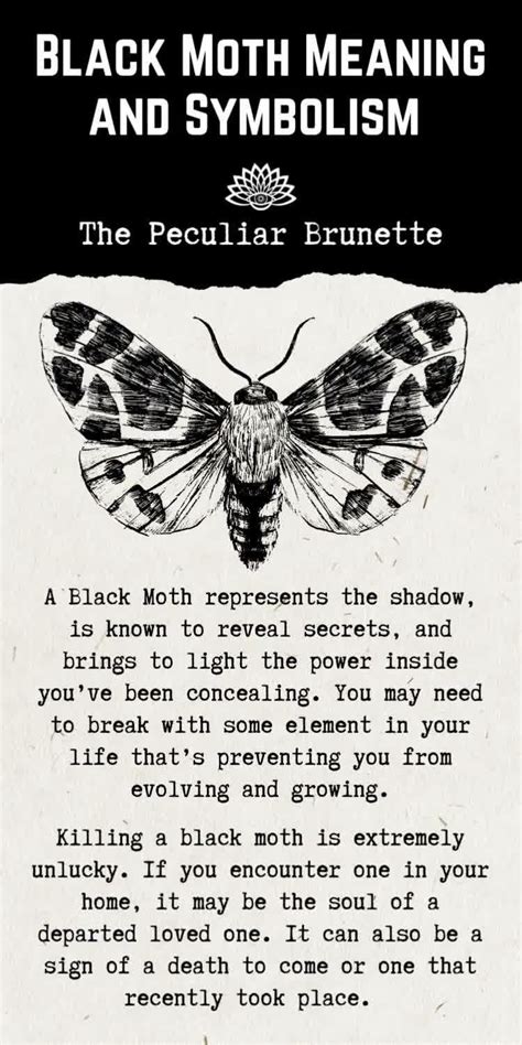 Black moth symbolism and spiritual meaning – Artofit