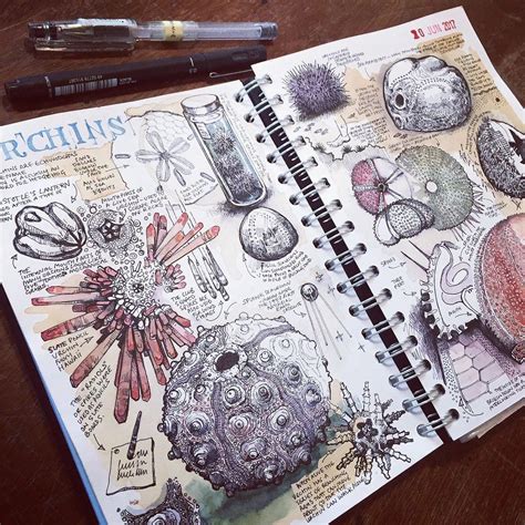 50+ Sketchbook Inspiration Examples That Will Change The Way You Use ...