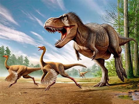 Did Dinosaurs Really Have Feathers? | Britannica