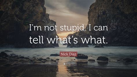 Nick Diaz Quote: “I’m not stupid. I can tell what’s what.”