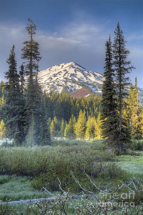 Mount Bachelor from Todd lake Photograph by Twenty Two North ...