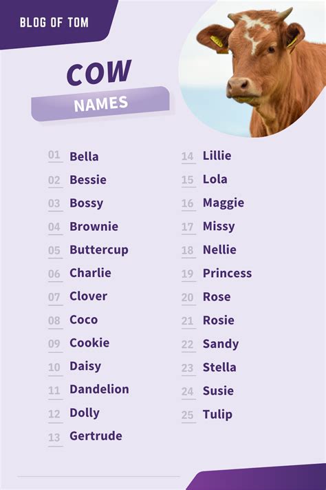 Looking for a name for your new cow? Check out this list of cute and ...