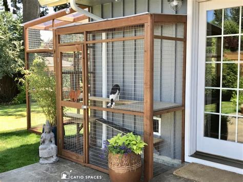 8 Catio-Building Mistakes to Avoid - Catio Spaces