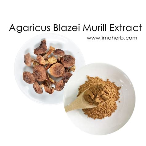 Agaricus Blazei Murill Extract,Agaricus Blazei Murill,Agaricus Blazei ...