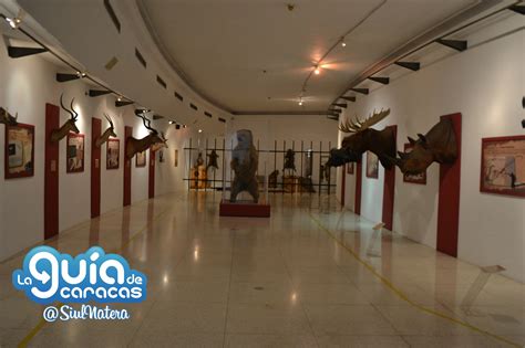 Museo de Ciencias Naturales · La Guía de Caracas