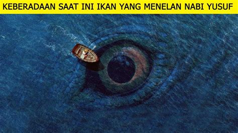 BUKTI BUKTI INI Menguatkan Bahwa Ikan Nun Yang Menelan Nabi Yunus Masih ...