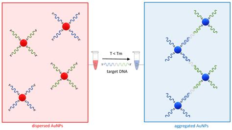 Biosensors | Free Full-Text | Gold Nanoparticle-Based Plasmonic Biosensors