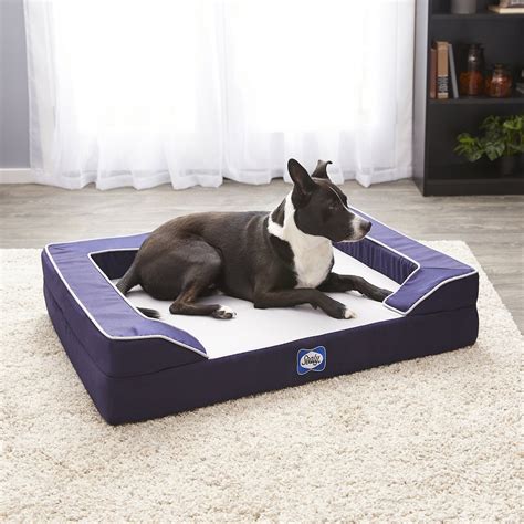 Sealy Lux Premium Orthopedic Dog Bed, Medium, Navy - Chewy.com