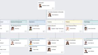 Organogram Definition & Templates for Word, Excel, & PPT