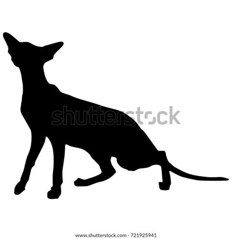 Isolated Black Silhouette Crouching Oriental Cat Stock Vector (Royalty ...