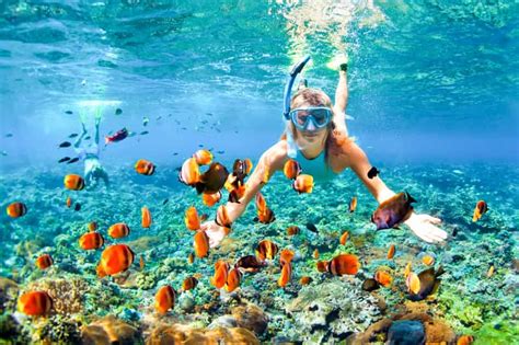 Maui: snorkeling a Molokini e Turtle Town con pranzo | GetYourGuide