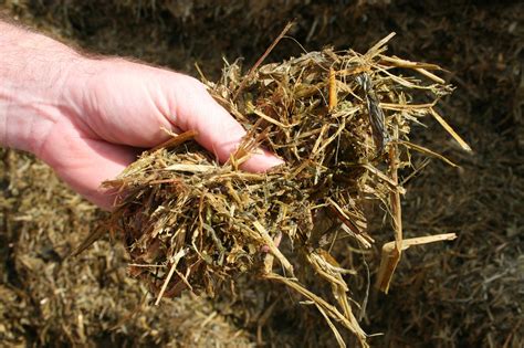 How to Make Silage: 12 Steps (with Pictures) - wikiHow